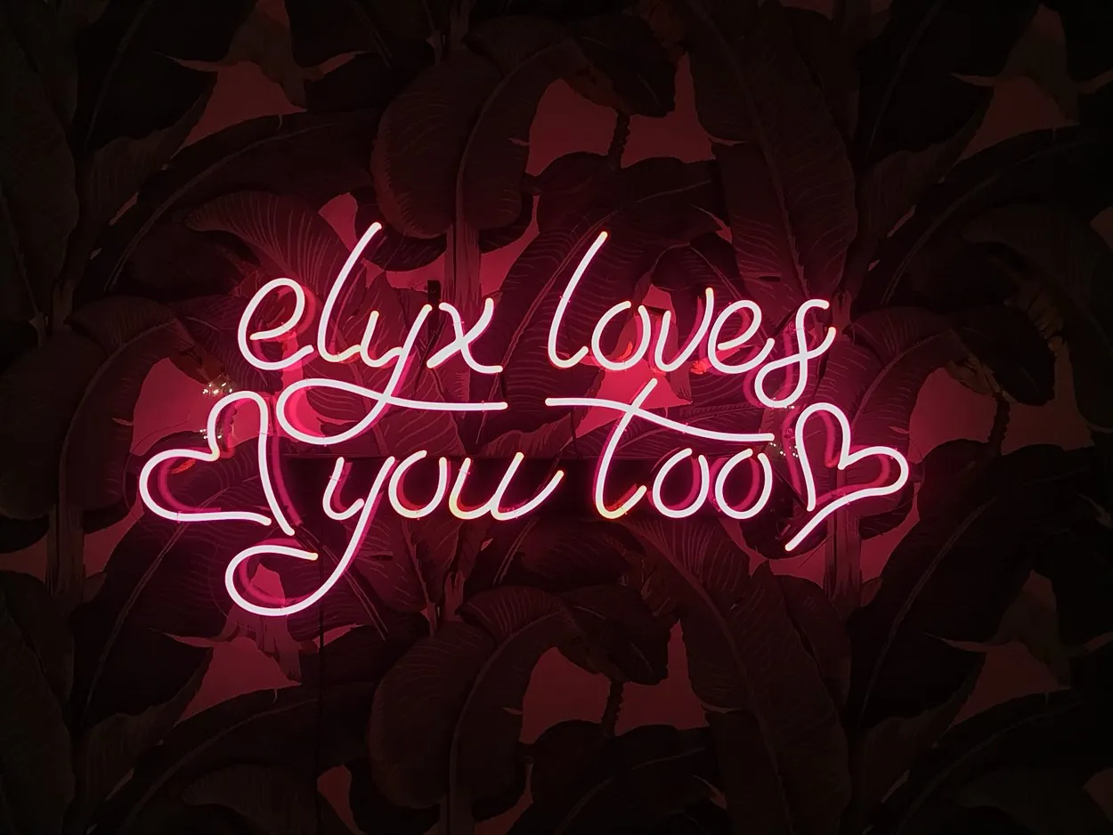 'elyx loves you too' neon at an Absolut Elyx event
